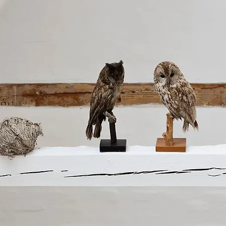 Gartnerhuset På Kollerup Villa