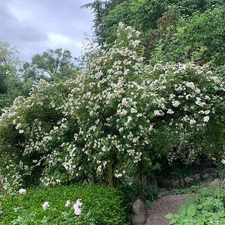 Villa Gartnerhuset På Kollerup *