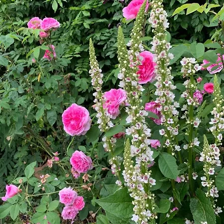 Gartnerhuset På Kollerup Villa Hadsten Stationsby