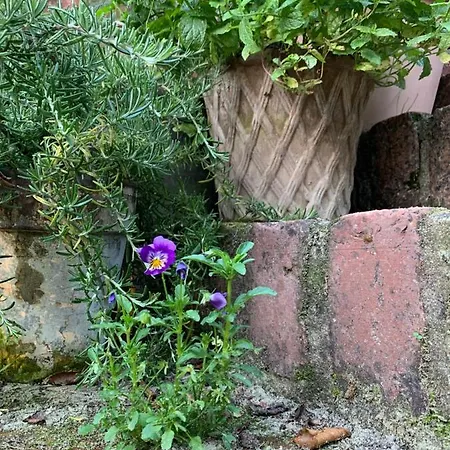 Gartnerhuset På Kollerup Villa *