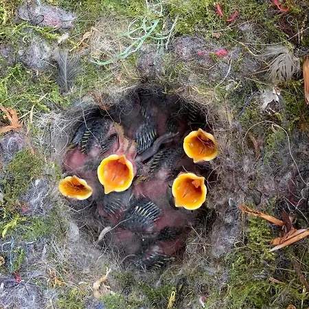 Gartnerhuset Pa Kollerup * Hadsten Stationsby