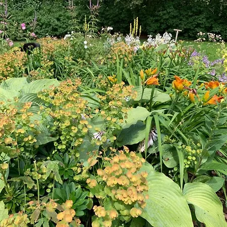 Gartnerhuset Pa Kollerup * Hadsten Stationsby