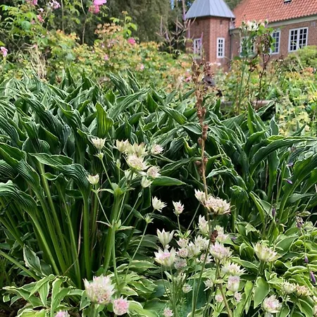 Gartnerhuset På Kollerup Villa Hadsten Stationsby