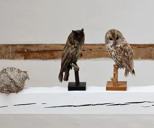 Gartnerhuset Pa Kollerup Villa