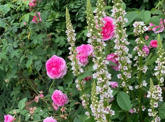 Gartnerhuset Pa Kollerup Villa Hadsten Stationsby