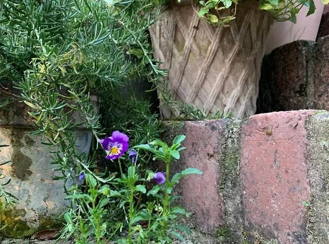 Gartnerhuset Pa Kollerup Villa *