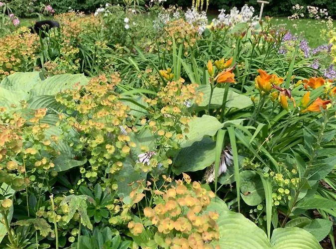 Gartnerhuset Pa Kollerup * Hadsten Stationsby