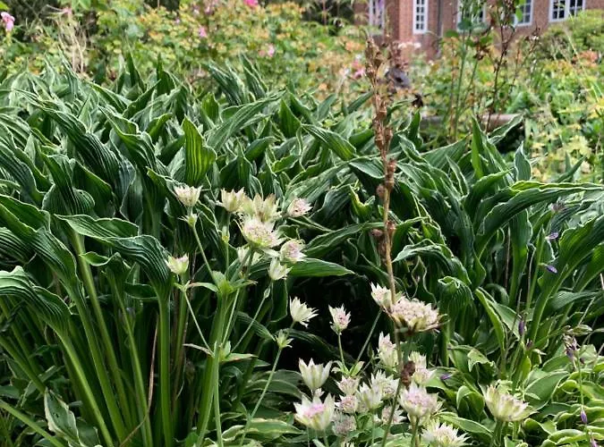 Gartnerhuset Pa Kollerup Villa Hadsten Stationsby